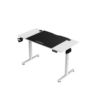 Kép 3/5 - Techsend Electric Adjustable Lifting Desk PEL1260 elektromos állítható magasságú íróasztal (120 x 60 cm) Fehér